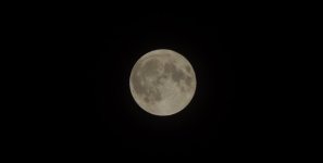 moon1.JPG