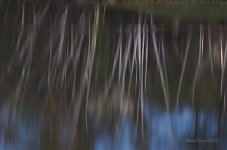 Reflection day 127.jpg