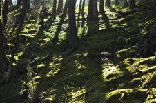 Image 2.jpg