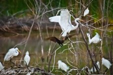 _DSC0783-Edit-Edit.jpg