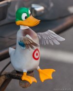 DSC_5428.jpg