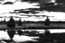 pond infrared resized.jpg