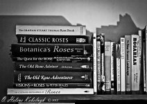 _DSC0037-Edit-Edit.jpg