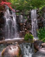 DSC_6105.jpg