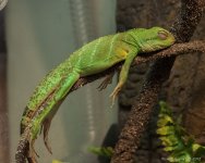 DSC_7109.jpg