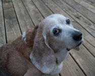 Charlie1s.jpg