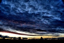 busy sky resized.jpg