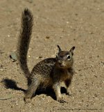 _DSC8704-imp.jpg