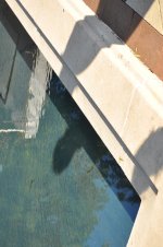 m_DSC_0644 - Copy.jpg