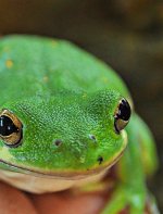 m_DSC_0461 - Copy_pe1.jpg