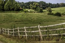 untitled-4174-2.jpg