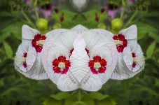 Flowers_033a_rev2.jpg