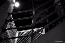 DSC_0195_00119 BW.jpg