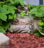 Laughing (1 of 1).jpg