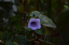 DSC_0123_01.jpg