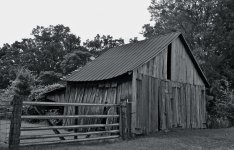 DSC_5009.jpg
