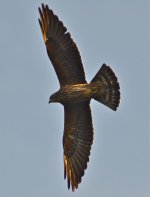 DSC_5029.jpg