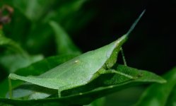 ESC_0400.jpg