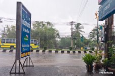 rain-1.jpg