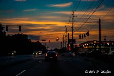 D71_0260.jpg