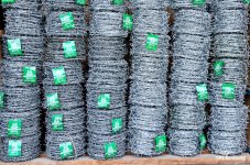 barbed-wire-1.jpg