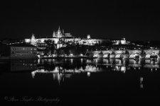 DSC_0182BW.jpg