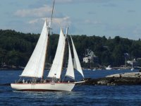 DSCN9168.jpg