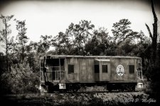 D71_0265-Edit.jpg