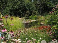 DSCN9321.jpg