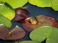 DSCN9368.jpg
