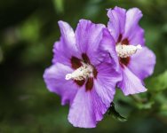 _DSC5800-Edit-Edit.jpg
