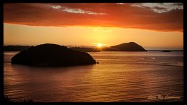 Golden Coromandel sunset LOL.jpg