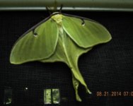 DSCN1397.jpg