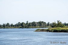 D71_0278.jpg