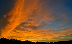 DSC_5142.jpg