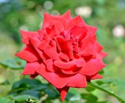 DSC_5105.jpg