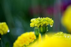 DSC_5878_2.jpg