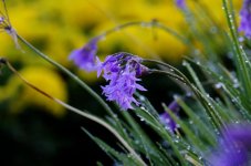 DSC_5891_2.jpg
