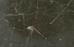 ESC_0527.jpg