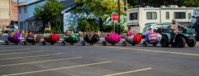 600_7004 (1000x383).jpg