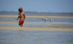 DSC_6960.JPG