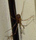ESC_0552.jpg