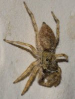 ESC_0664.jpg