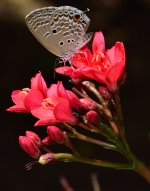 ESC_0625.jpg