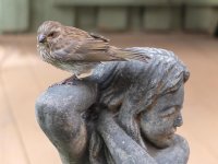 DSCF3979.jpg