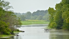 DSC_5292.jpg