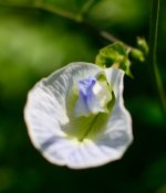 ESC_0705.jpg