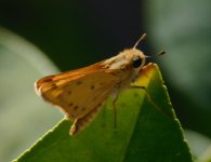 DSC_5961.jpg