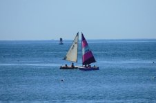 DSCN9070.jpg
