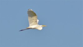 DSC_5431.jpg